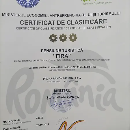 Pensiunea Fira Baia de Fier